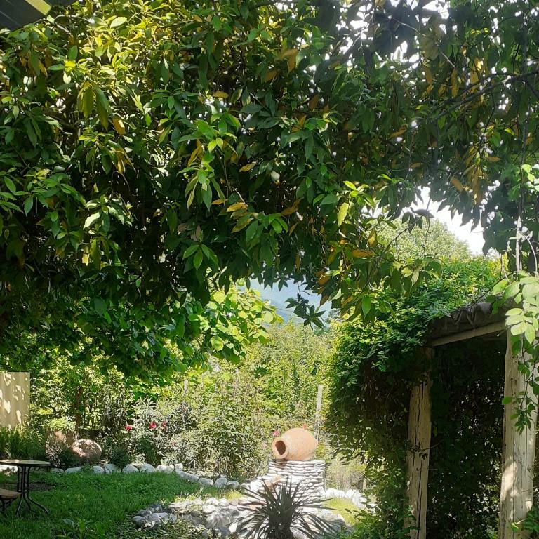 Guesthouse Cottage room 1
